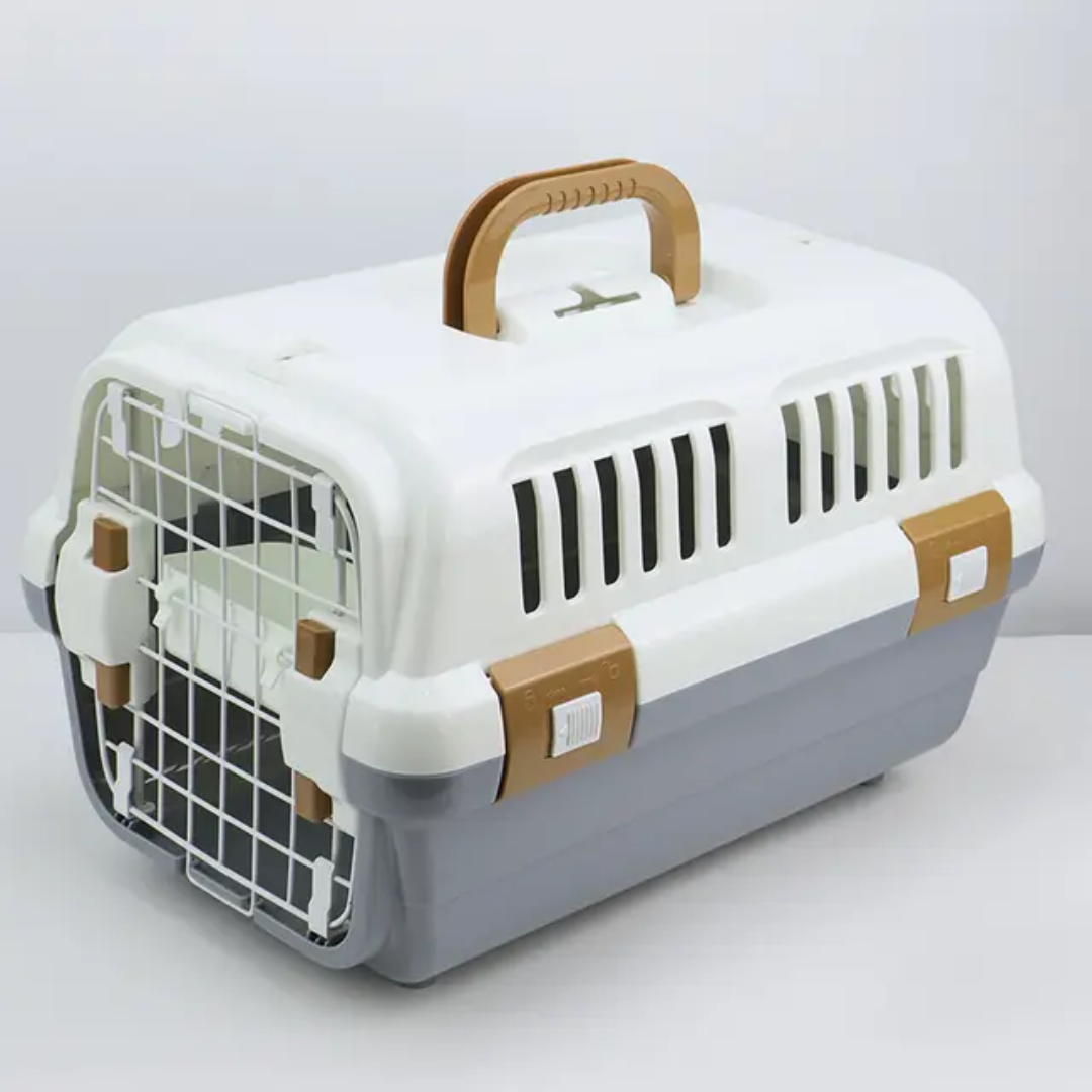 Daily/Flight Regular Case