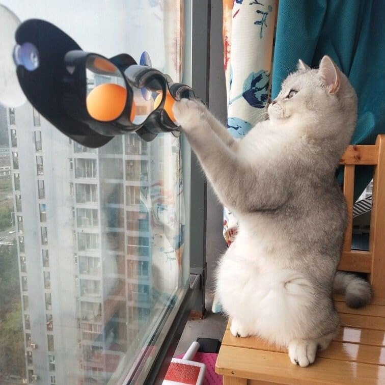 Plastic Sucker Cat Toy Track Ball
