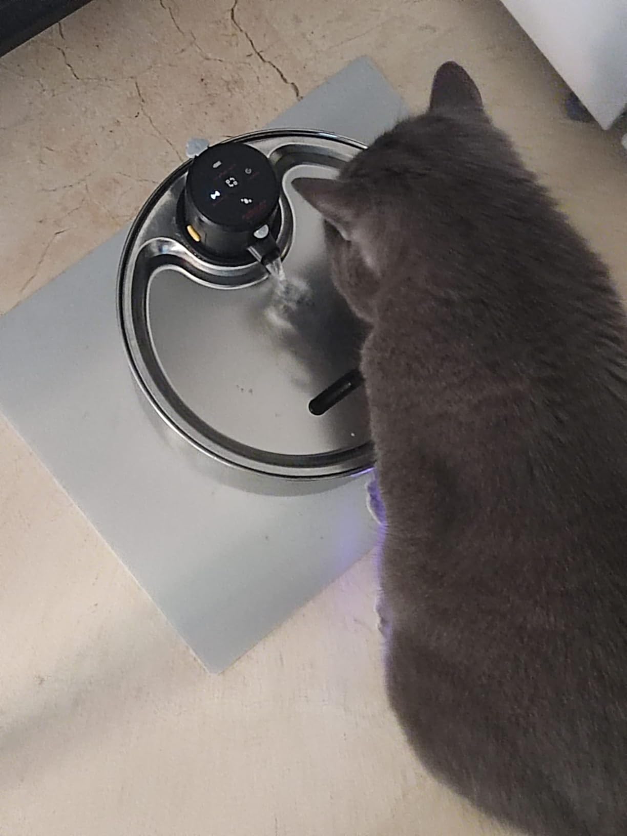 Stainless Steel Water Fountain With Sensor