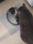 Load image into Gallery viewer, Steel Paws™ 3.2L Wireless Stainless Steel Pet Fountain Medivet store