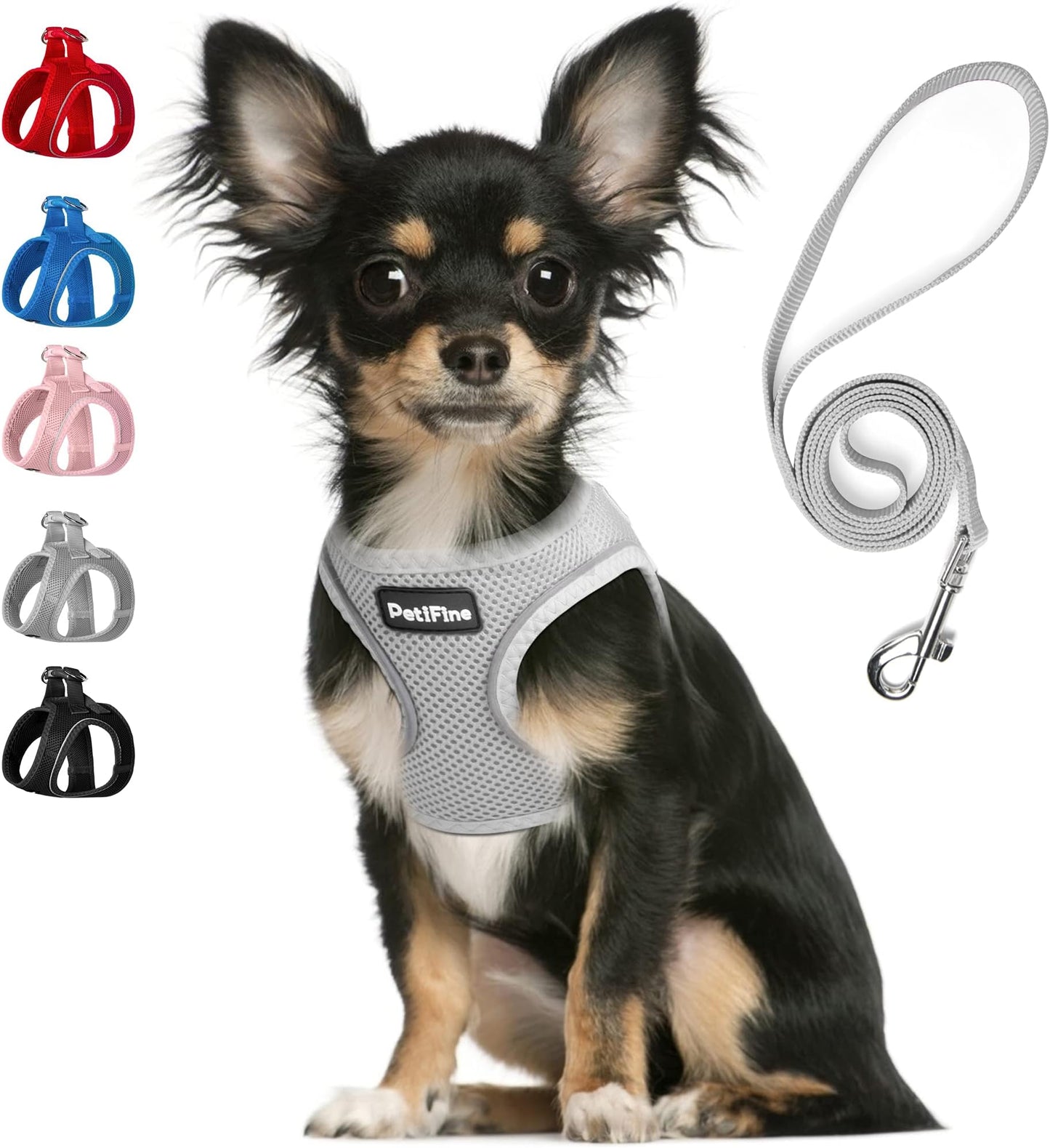 FIDA Step in Small Dog Harness and Leash Set