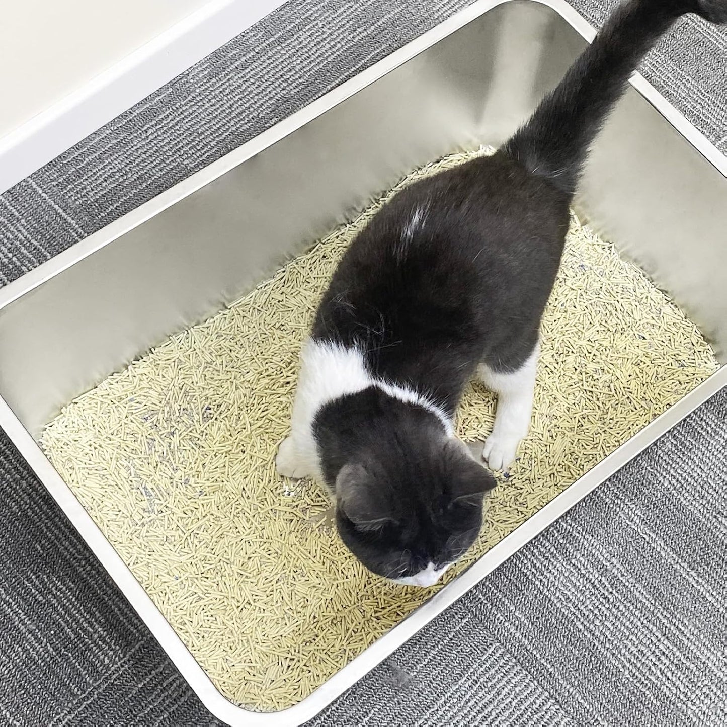 Regular Stainless Steel Litter Box