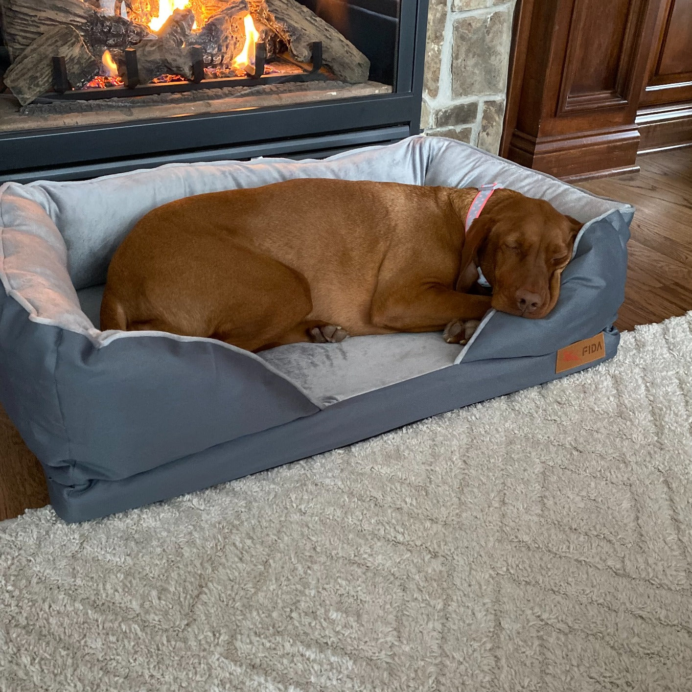 FIDA Orthopedic Dog Bed with Memory Foam Base with Removable Washable Cover