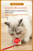 Load image into Gallery viewer, Electric Smart Tail Rolling Ball - Interactive Cat Toy