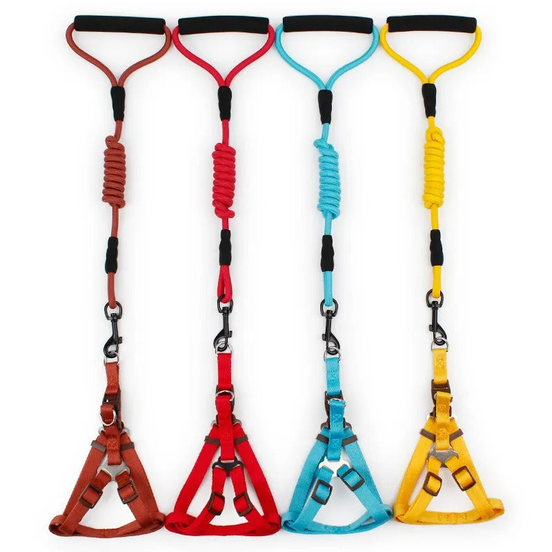 Heavy-Duty Nylon Rope Dog Leash with Padded Handle & Secure Steel Buckle