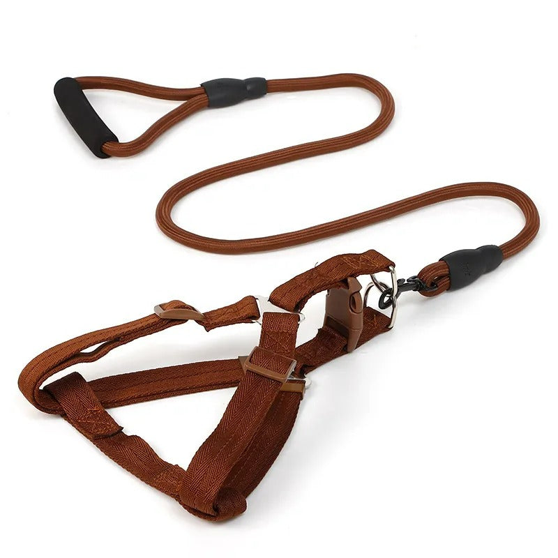 Heavy-Duty Nylon Rope Dog Leash with Padded Handle & Secure Steel Buckle