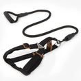 Load image into Gallery viewer, Heavy-Duty Nylon Rope Dog Leash with Padded Handle & Secure Steel Buckle