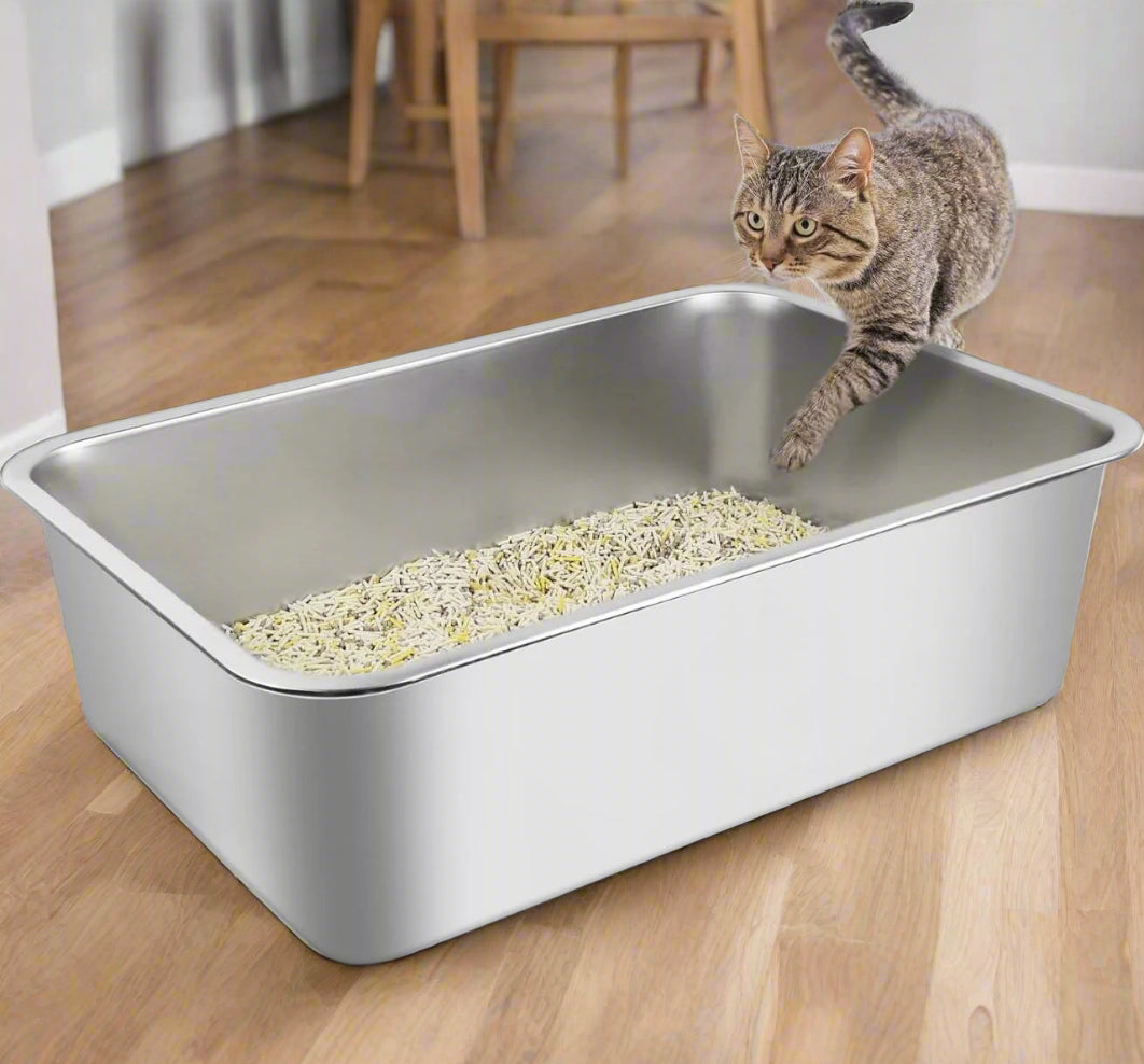 Cat standing on a metal litter box with cat litter inside, on a white background