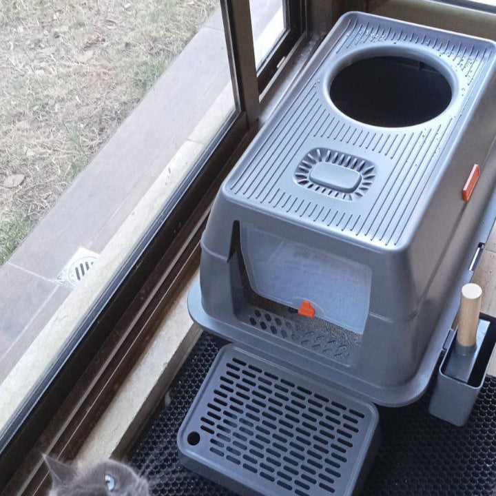 Cat looking at a gray pet carrier on a windowsill