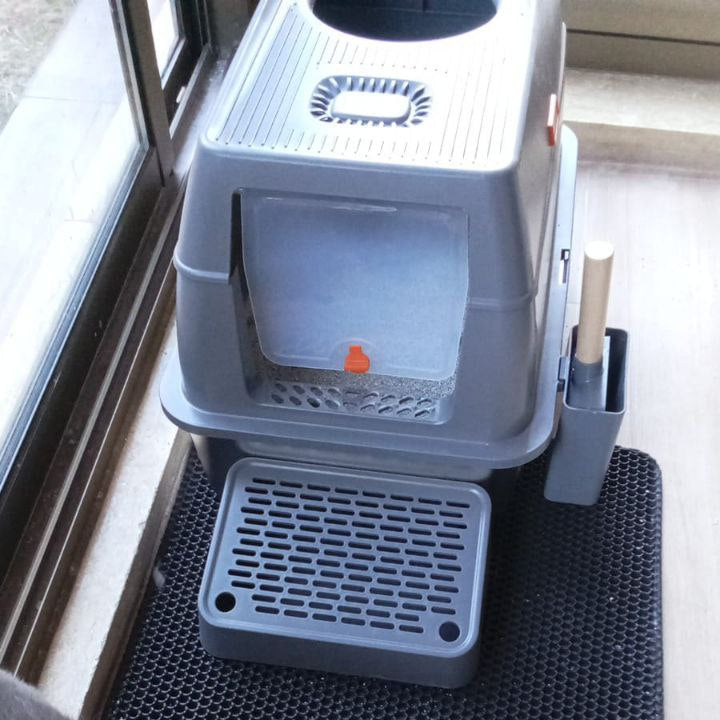 Cat standing on a black mat next to a gray litter box.
