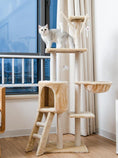 Load image into Gallery viewer, Cat sitting on a multi-level cat tree in a room with a window.