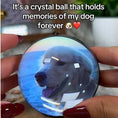 Load image into Gallery viewer, Crystal ball with a dog's face inside, held by a person with red nail polish.