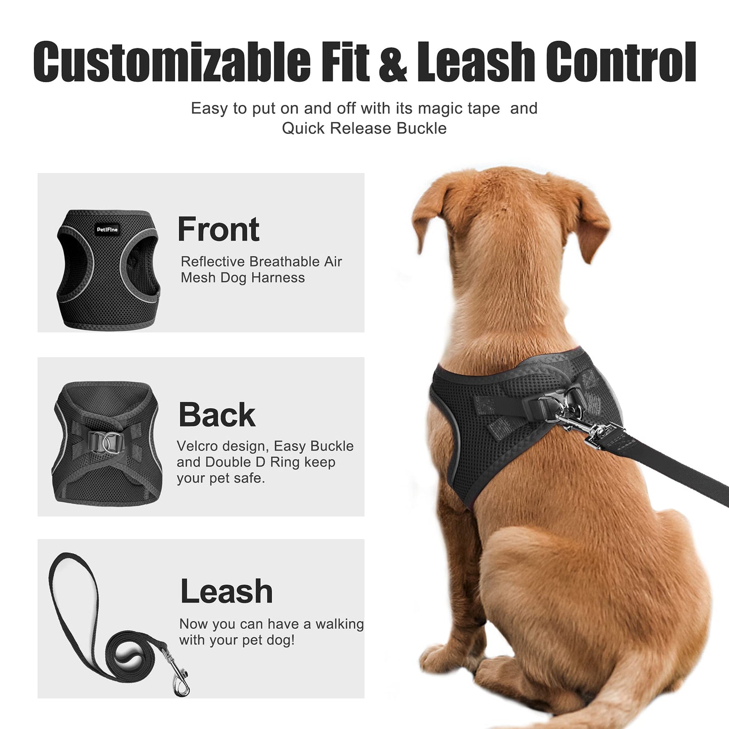 FIDA Step in Small Dog Harness and Leash Set