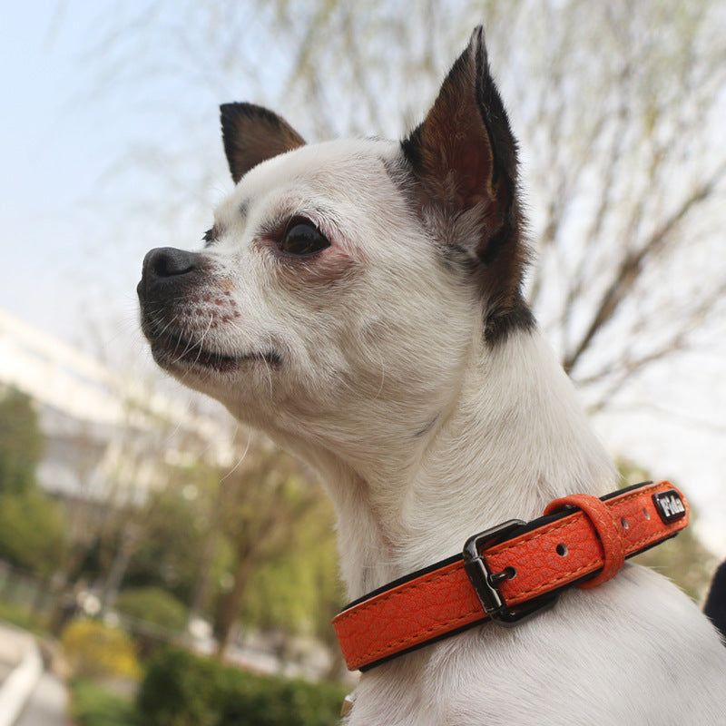 FIDA 360° Padded Leather Dog Collar - Soft & Comfortable