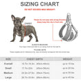 Load image into Gallery viewer, FIDA Reflective Step-In Dog Harness - Breathable Mesh, No-Pull Design
