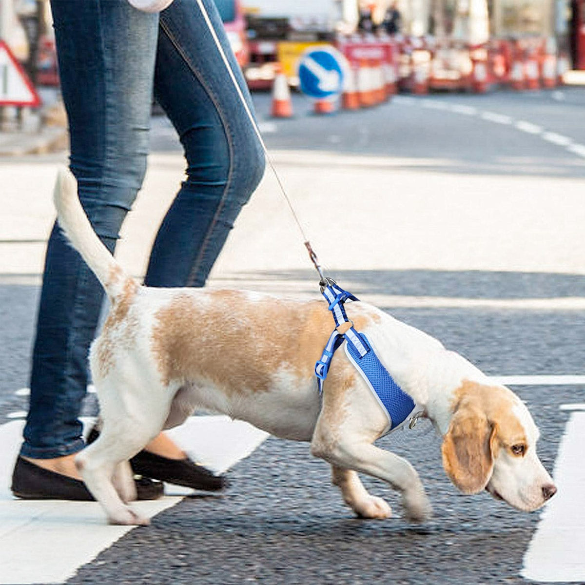 FIDA Reflective Step-In Dog Harness - Breathable Mesh, No-Pull Design
