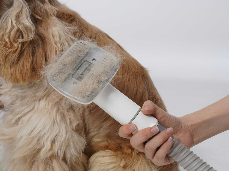 Dog Grooming Essentials