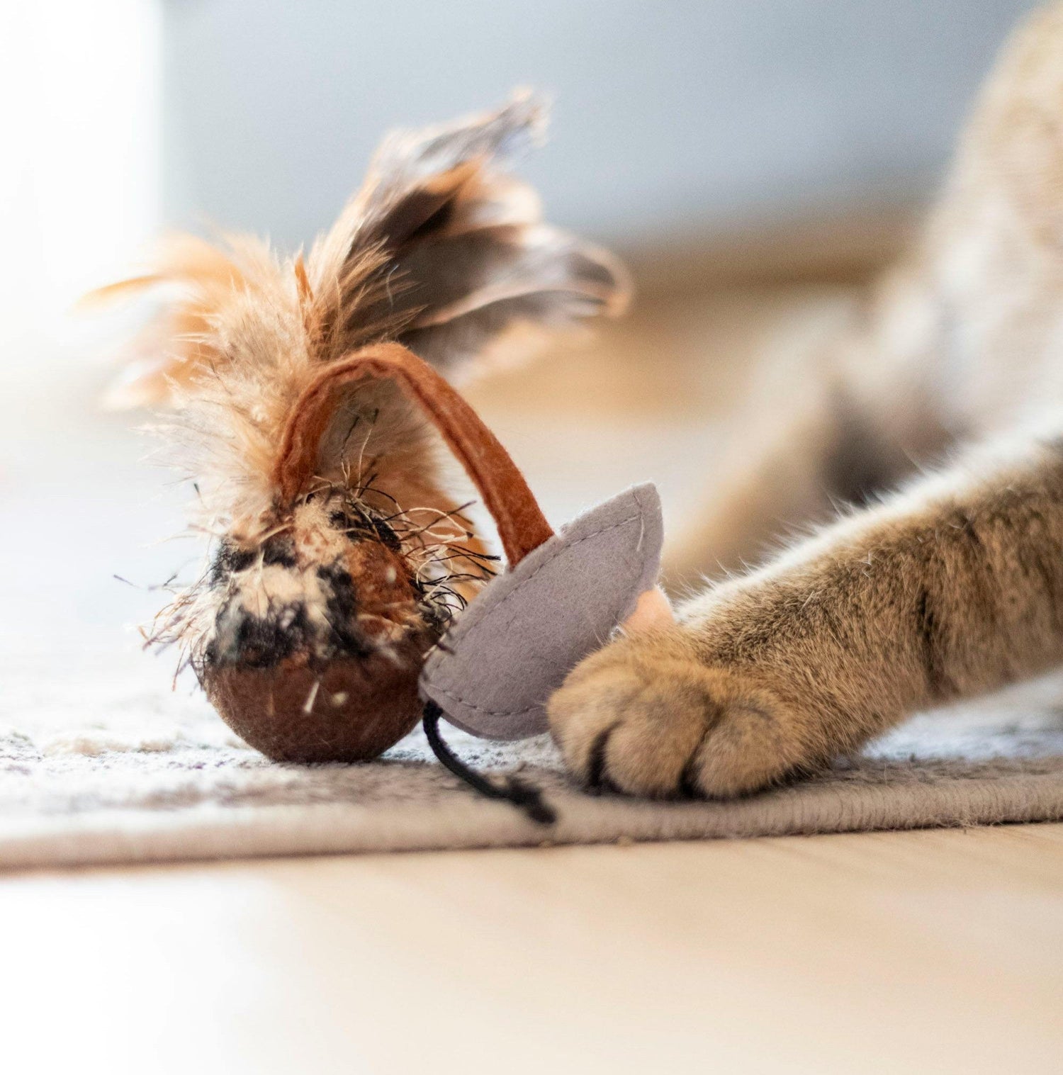 Cat Toys