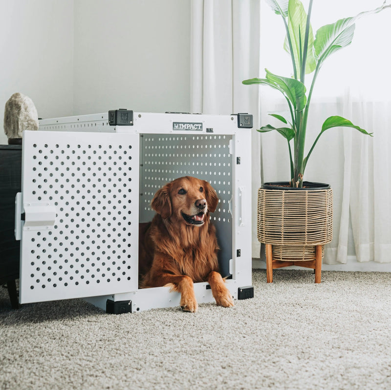Dog-Carriers Medivet store