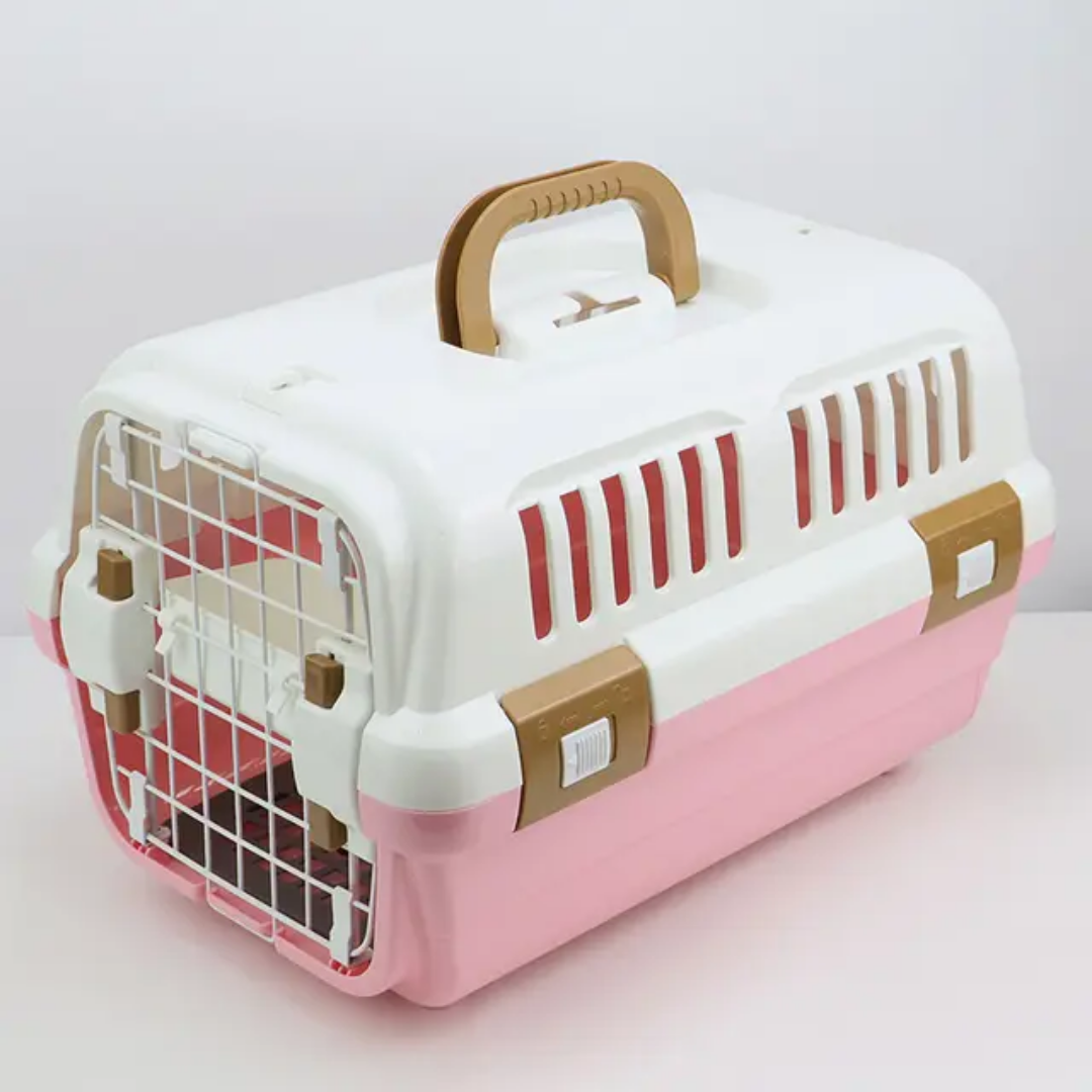 Daily/Flight Regular Case