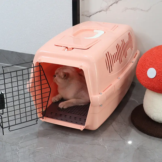 Daily/Flight Pet Case !