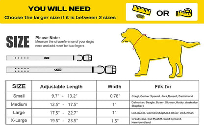 FIDA Heavy Duty Dog Collar
