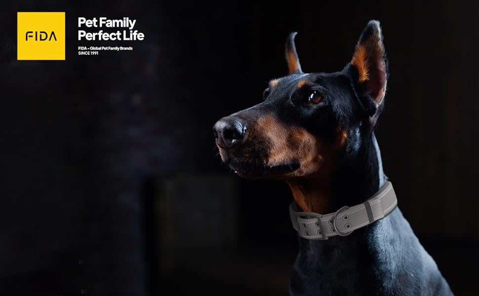 FIDA Heavy Duty Dog Collar