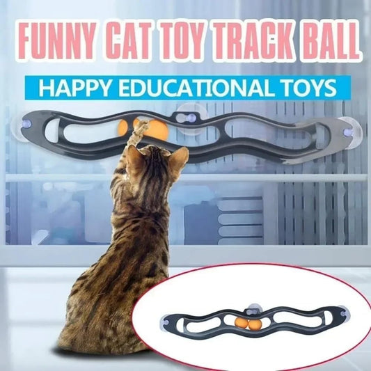 Cat toy track ball with a cat playing with it, set against a light background.