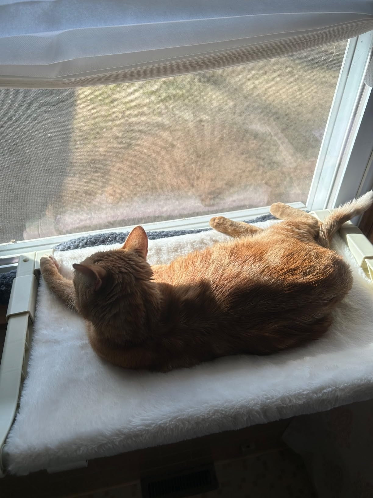 MEWOOFUN Window Sill Perch for Indoor Cats hammock