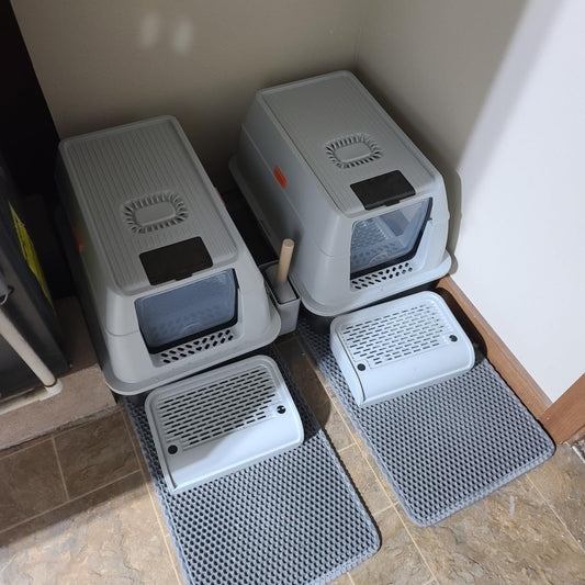Two cat litter boxes on mats in a corner of a room.