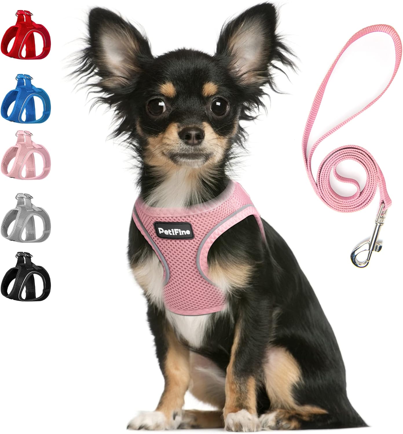 FIDA Step in Small Dog Harness and Leash Set