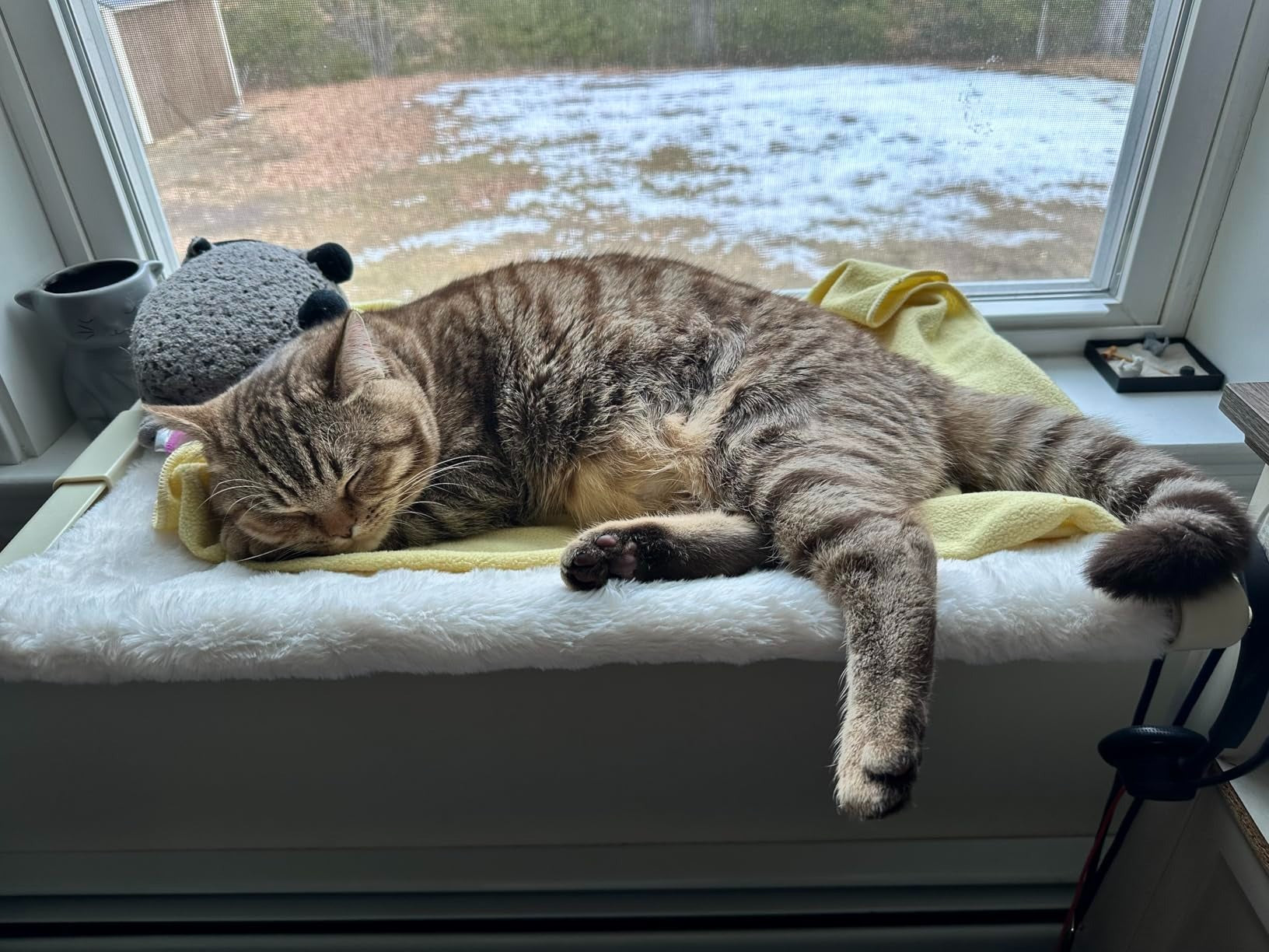 MEWOOFUN Window Sill Perch for Indoor Cats hammock