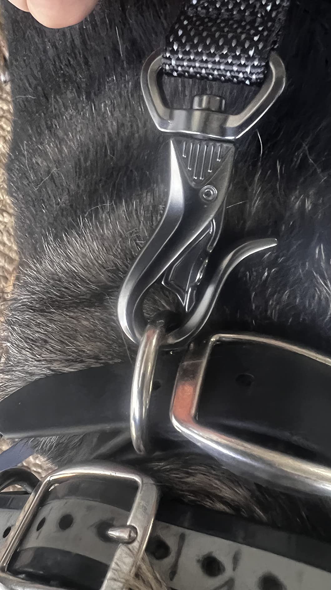 FIDA 4 FT Heavy Duty Dog Leash with 2 Comfortable Padded Handles