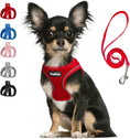 Load image into Gallery viewer, FIDA Step in Small Dog Harness and Leash Set
