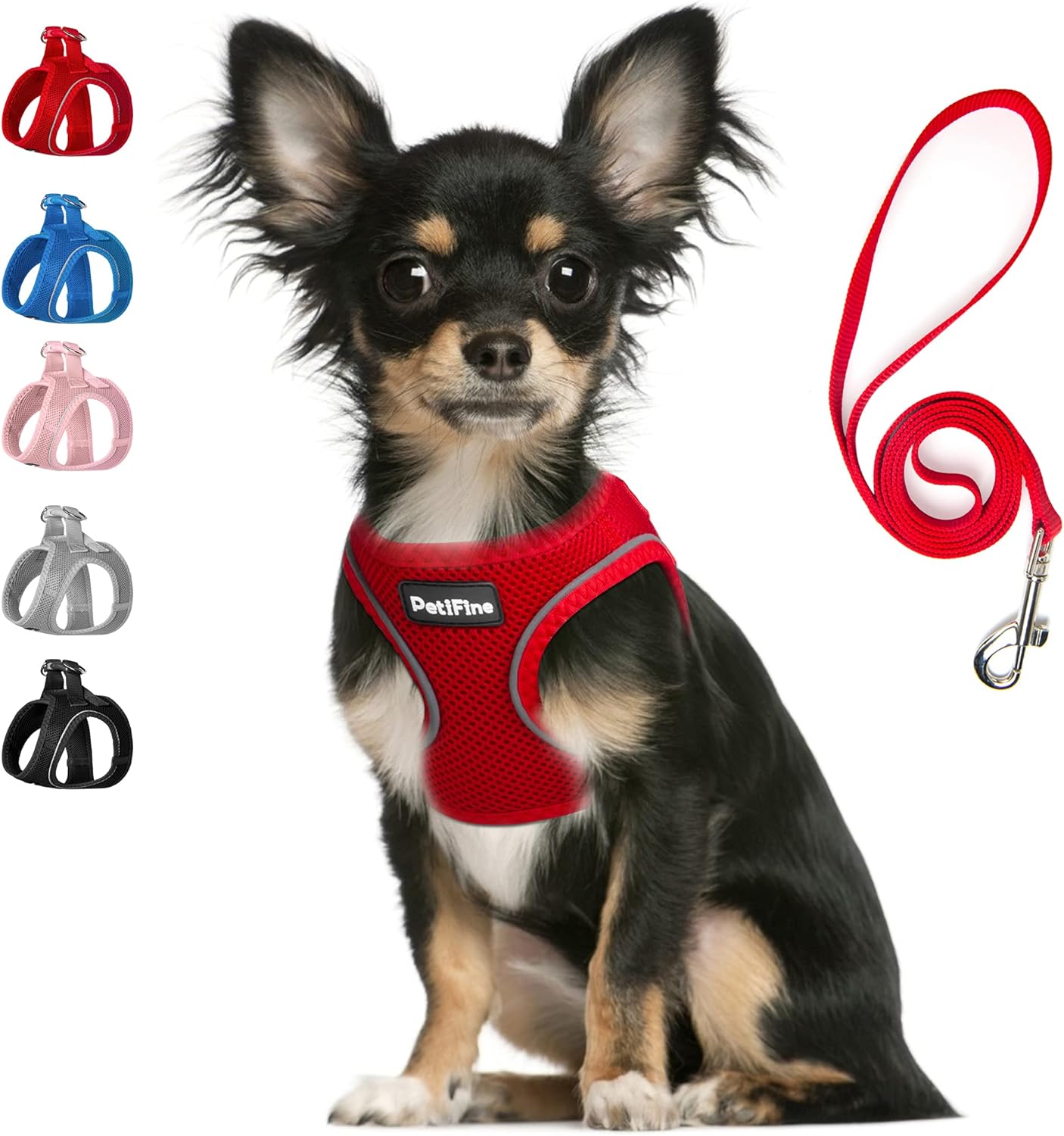FIDA Step in Small Dog Harness and Leash Set