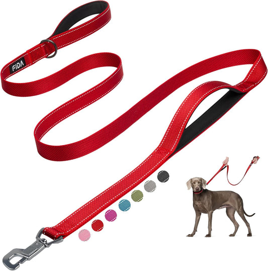 FIDA 4 FT Heavy Duty Dog Leash with 2 Comfortable Padded Handles