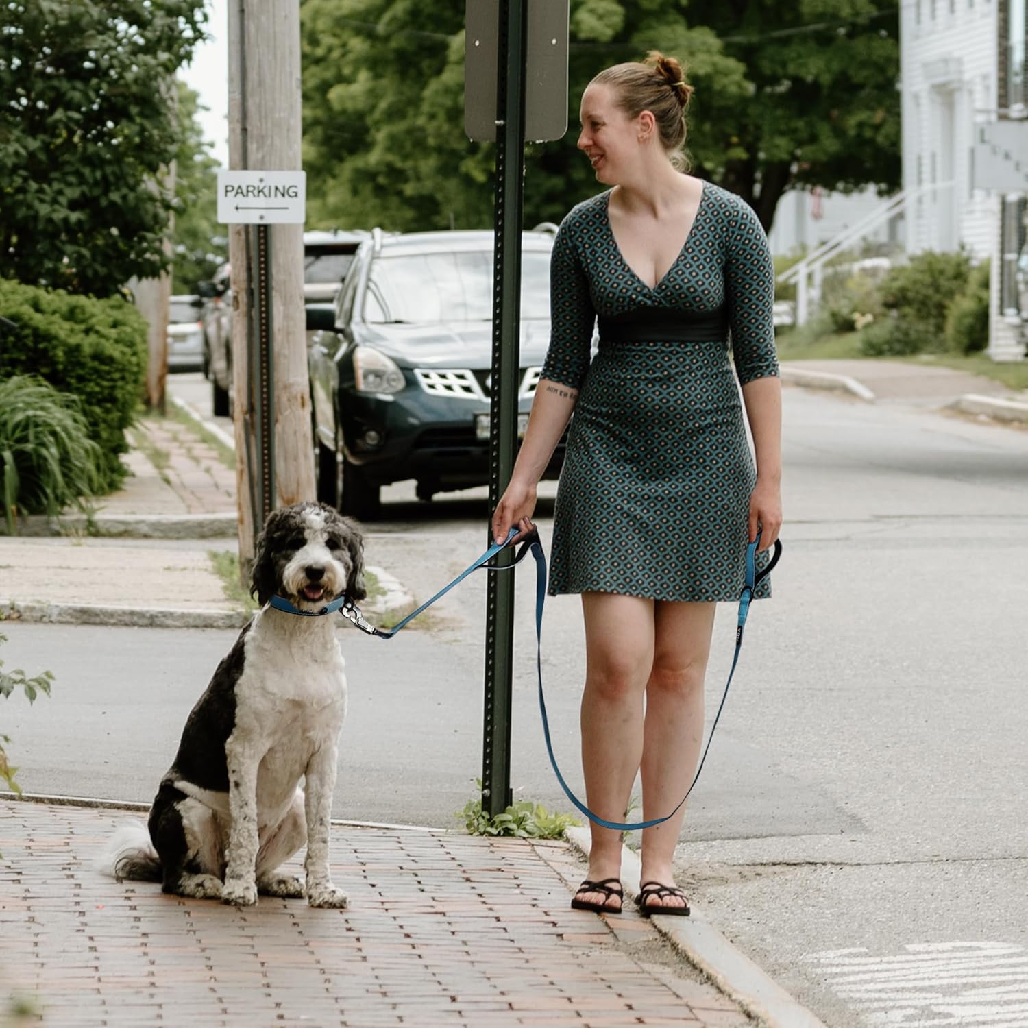 FIDA 4 FT Heavy Duty Dog Leash with 2 Comfortable Padded Handles