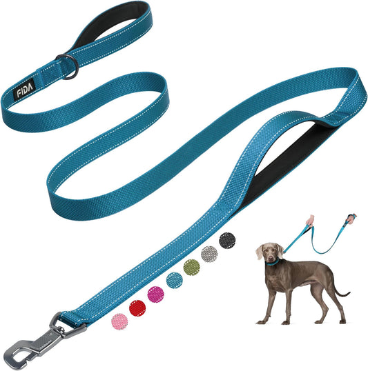 FIDA 4 FT Heavy Duty Dog Leash with 2 Comfortable Padded Handles