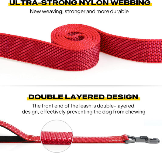 FIDA 4 FT Heavy Duty Dog Leash with 2 Comfortable Padded Handles