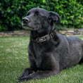 Load image into Gallery viewer, FIDA Adjustable Dog Collars Large Dogs Full Coverage Neck
