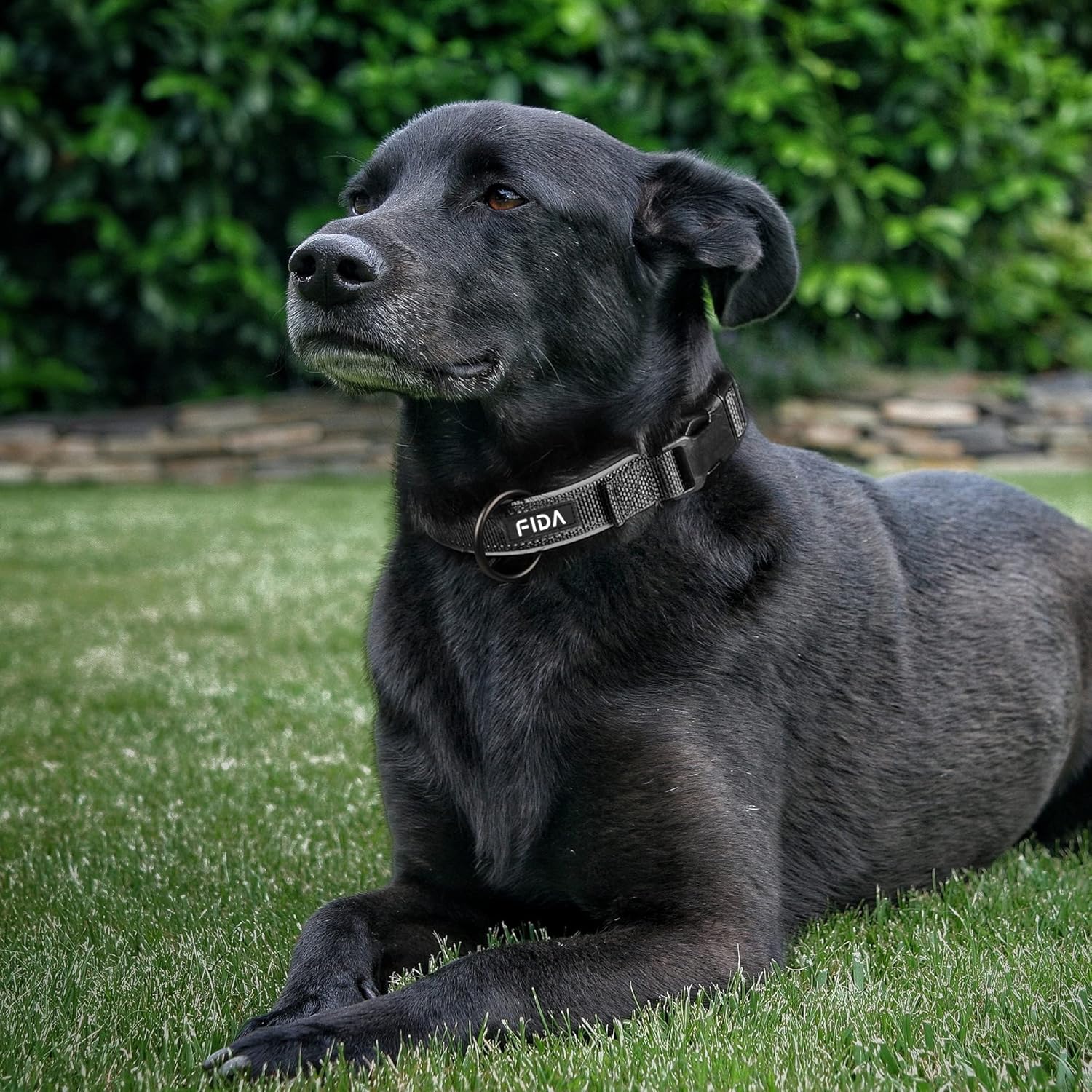 FIDA Adjustable Dog Collars Large Dogs Full Coverage Neck