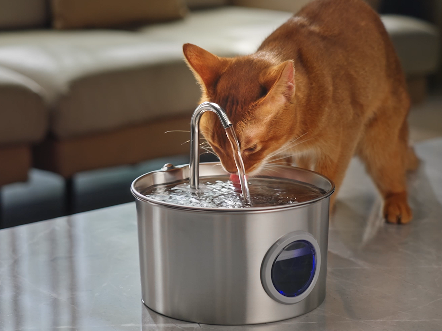 Stainless steel water fountain 3.2 L