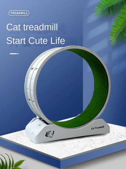 Cat Wheel Treadmill