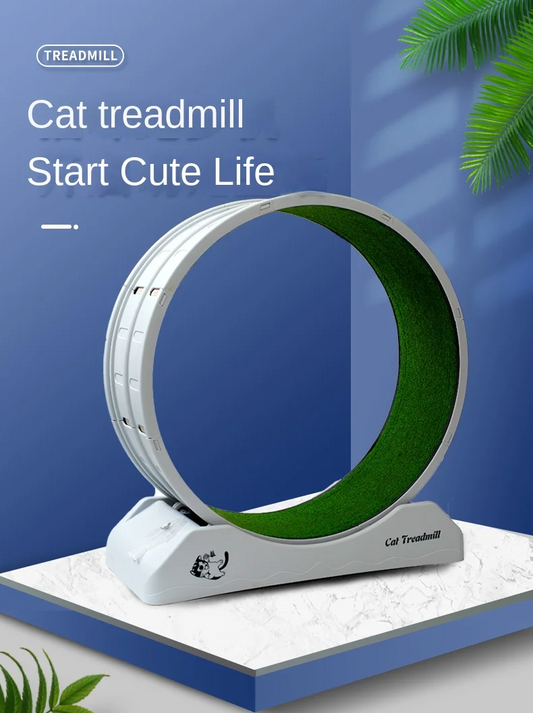Cat Wheel Treadmill