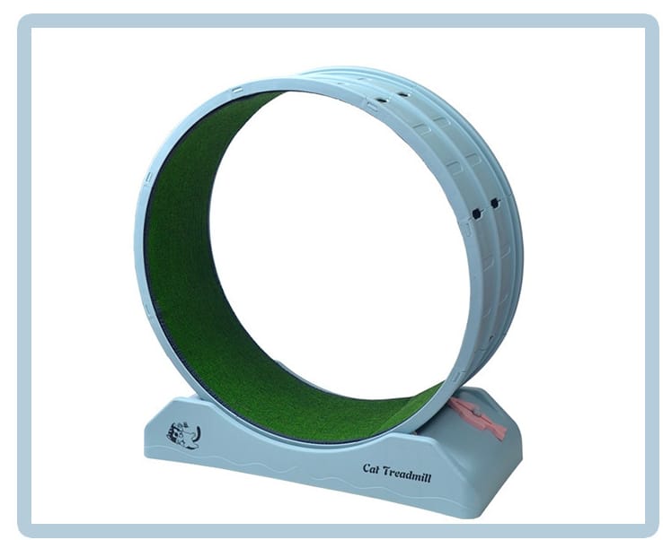 Cat Wheel Treadmill