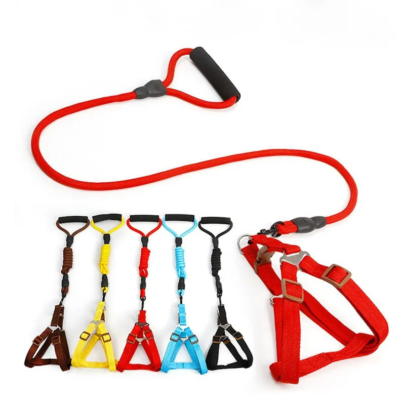 Heavy-Duty Nylon Rope Dog Leash with Padded Handle & Secure Steel Buckle