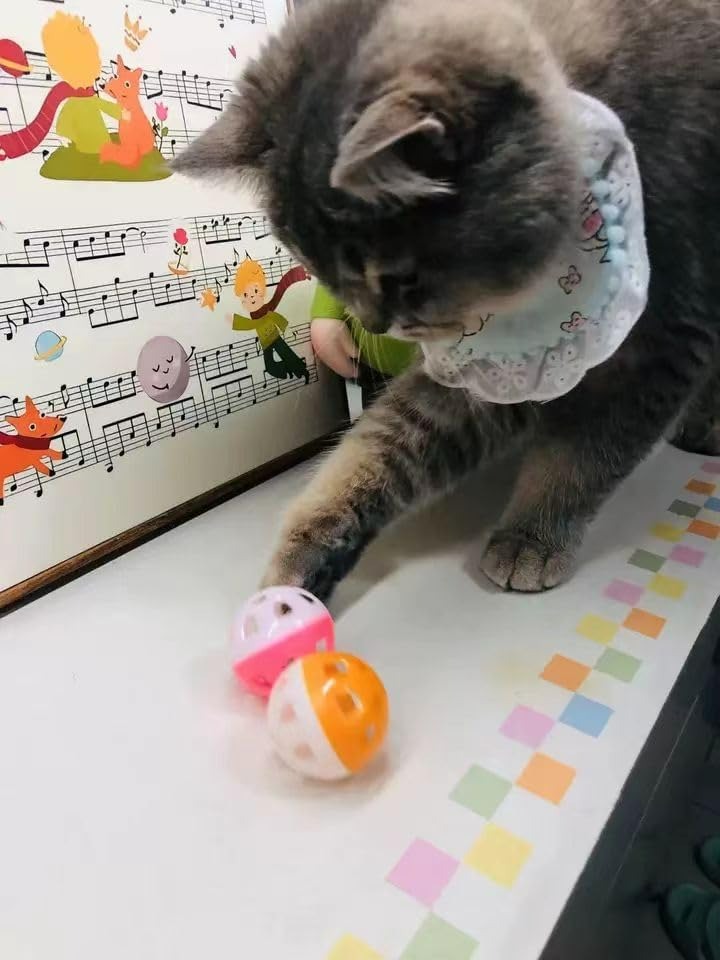 5 PCS set of plastic cat toy balls with rattling bells