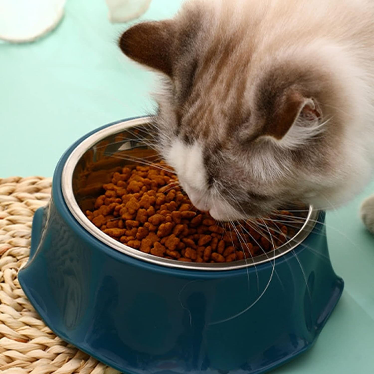 Pet Stainless Steel Bowl