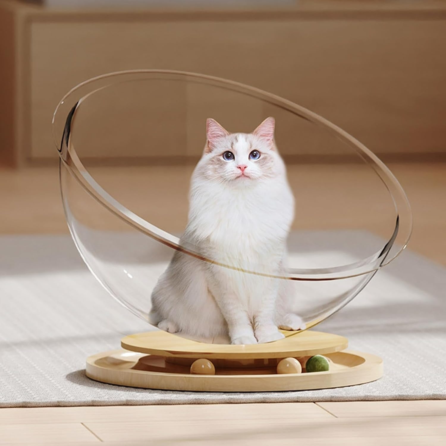 Space Capsule Elevated Cat Bed, Transparent Acrylic Nest with Turntable Toys