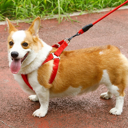 Heavy-Duty Nylon Rope Dog Leash with Padded Handle & Secure Steel Buckle